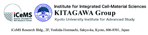 Kitagawa Group, iCeMS